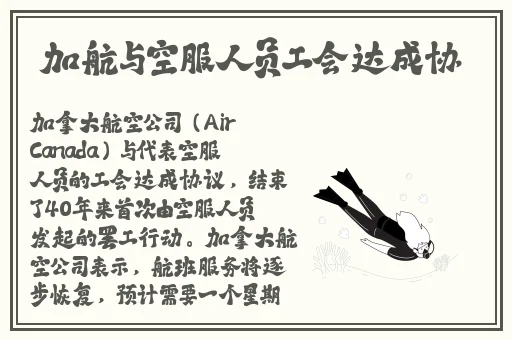新版金银瓶一级l